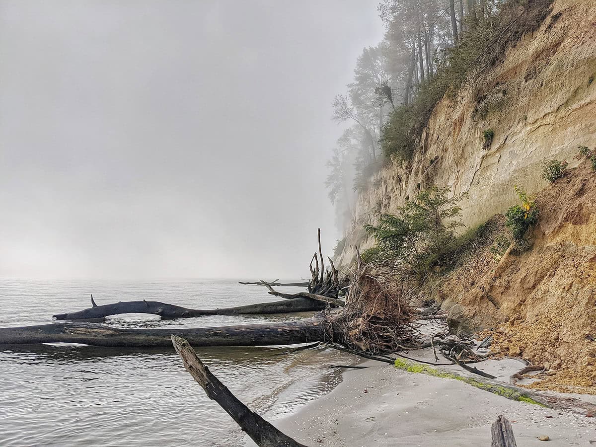 Preserving the Past: Why We Keep Our Hands Off Cliffs