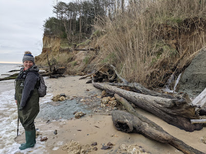 Essential Gear for a Successful Fossil Hunt: What You Need for Every Adventure