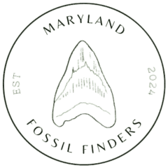 Maryland Fossil Finders